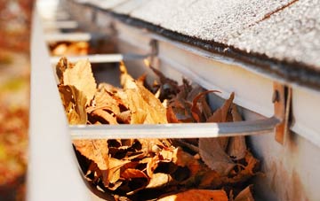 Saffrons Cross gutter cleaning companies